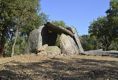 anta saragonheiros001