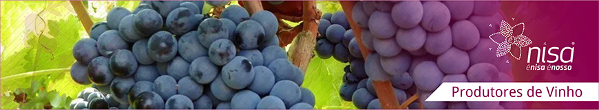 produtores vinhos