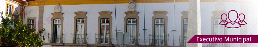 Executivo Municipal executivo