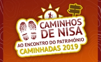 th caminhada novembro