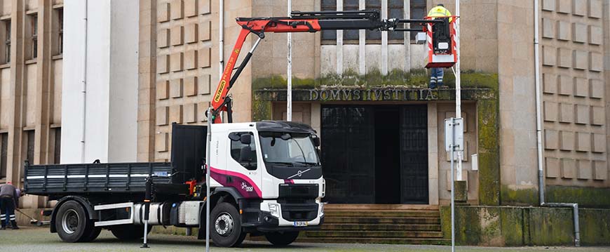 Câmara Municipal remove ninhos do Tribunal de Nisa