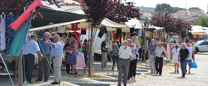 feira cereja not