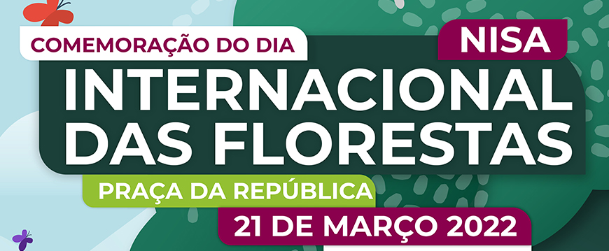 dia floresta