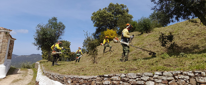 Limpeza de mato na Senhora da Graça