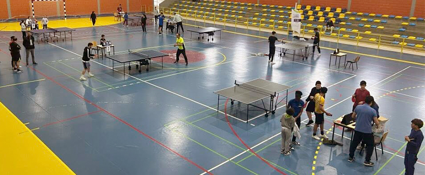 tenis mesa