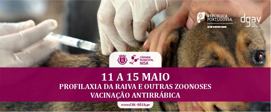vacinacao