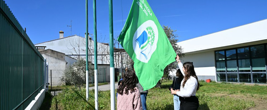 bandeira verde