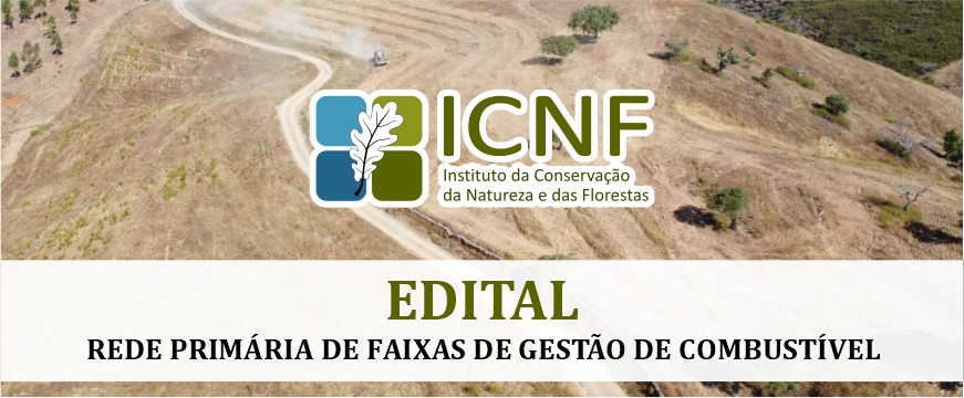 EDITAL | Início dos trabalhos de gestão de combustível na freguesia de São Matias edital icnf site