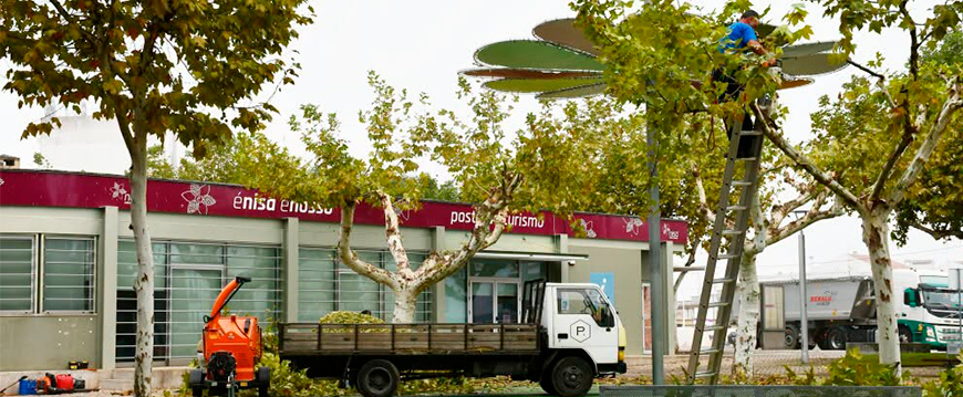 Câmara Municipal de Nisa realiza ação de limpeza profunda na Praça da República limpeza praca rep